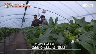 [SBS 생존의기술] TV방영 창성전기온풍기