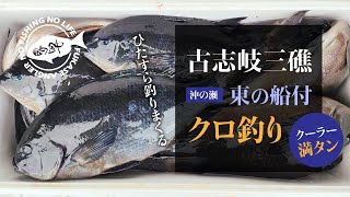 古志岐三礁・沖の瀬（東の船付け）で、ひたすらクロを釣りまくる