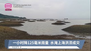 一小时降125毫米雨量  水淹上海洪涝成灾【2023.07.22 八度空间午间新闻】