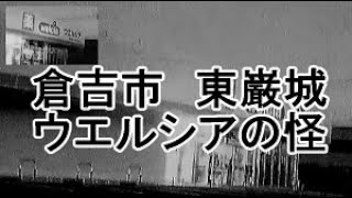 倉吉市東巌城ウエルシアの怪