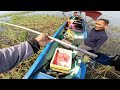 great strike from a 3kg giant snakehead fish