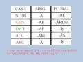 Latin Declension Song