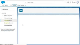 Platform Encryption Enhancements