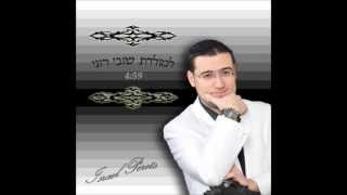 ישראל פרץ - למולדת שובי רוני