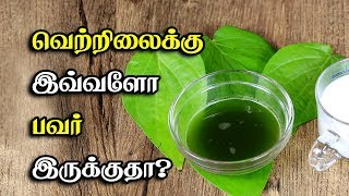 வெற்றிலைக்கு இவ்ளோ பவர் இருக்குதா? Betel Leaves Benefits | Vetrilai Tamil Health Tips