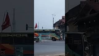 Bus Bumel Cirebonan, Bus Madona SENIOR Jet darat Pantura Indramayu Cirebon