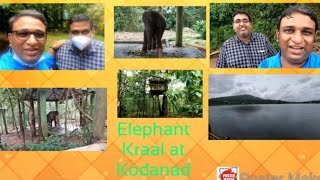 Elephant Kraal at Kodanad.🐘.