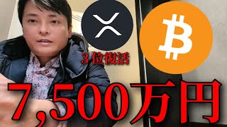 リップル3位に、ビットコイン 2025年50万ドル(7,500万円)あり得る？【仮想通貨 暗号資産 暗号通貨 BTC XRP SOL】