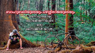 സൈക്കിളിൽ   കാടിന്റെ ഭംഗി ആസ്വദിച്ചു കൊണ്ട് ഒരു മോർണിങ് റൈഡ് #forest #cycling #kannur