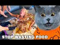 How Can We STOP WASTING FOOD… 🍔🍕🍗 | Oscar‘s Funny World | Cute And Funny Cat TikTok