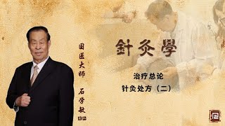 石学敏团队讲针灸学 - 64 治疗总论   针灸处方（二）