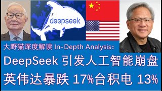 野猫论政 2240：DeepSeek引发美国人工智能崩盘，英伟达暴跌17%，台积电暴跌13%，美股单日市值蒸发1.2万亿美元