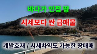 [1257]땅매매, 주변시세보다 싸고 거의 공시지가 가격, 개발호재, 시세차익가능한 땅매매