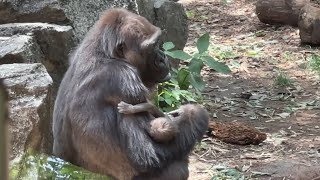 2022年5月31日に生まれた赤ちゃんの名前が決まりました。