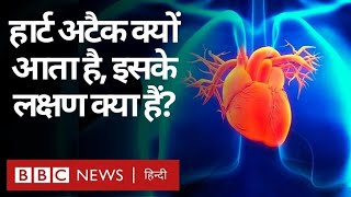 Heart Attack : भारतीय युवाओं का दिल इतना कमज़ोर क्यों है, हार्ट अटैक क्यों आते हैं? (BBC Hindi)