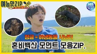 (Eng Sub)[예능맛ZIP/정글의 법칙] 야생에서의 야생동물 사냥! 혼비백산 순간 모음ZIP. / Law Of The Jungle