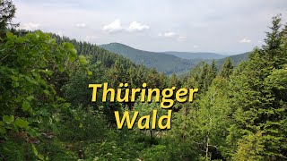 Herrlicher Thüringer Wald