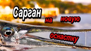 🔴Попробовал Ловить на Новую Оснастку. Сарган  Жадно Брал. Морская Зимняя Рыбалка в Крыму.