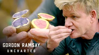 Gordon Ramsay Is Blown Away By Potatoes! | Gordon Ramsay: Uncharted