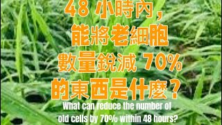 48 小時內，能將老細胞數量銳減 70%的東西是什麼？What can reduce the number of old cells by 70% within 48 hours#抗衰老 #消炎=