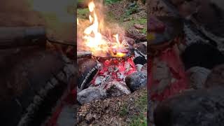Cooking beef steak on a knife | beef recipe #shorts #cooking #camping #solo #beef #fire