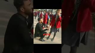 14 Feb Valentine's School Proposal Status❣️ College Love Story Proposal💖 Status Video Nitesh Mishra
