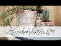 Whitewashed Terra Cotta Planter DIY | Cheap and Easy Crafts