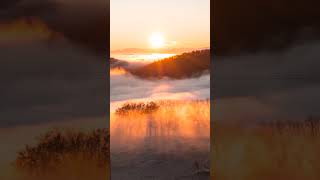 A Beautiful Sunrise You Never Ever Seen Before 🌞🍃 - Relaxing | Mediation | Calming