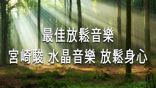 【100%無廣告】宮崎駿鋼琴音樂合集 🎵3小时的沉静音乐，充满正能量的钢琴音乐_早晨的放松音乐,鸟的声音, 音樂讓您感到舒適