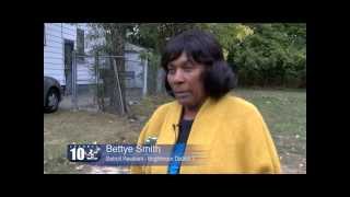 Detroit Land Bank Authority Side Lot Program: Ms. Smith