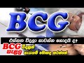 BCG vaccine |  BCG එන්නත l Sinhala