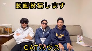 (初投稿)初めまして僕たちCATハウスです。今日から始めます