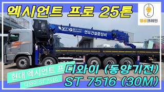 [신차리뷰] 엑시언트 프로 25톤 / 디와이 ST7516 (30M) #동양기전