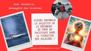 Vivons ensemble le solstice du 21 décembre au cœur du Pacifique avec la vibration des Baleines !