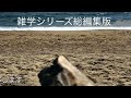 【睡眠導入】たんたんと雑学（雑学シリーズ総編集 197【作業用・睡眠用bgm・聞き流し・リラックス・不眠症対策 トリビア・豆知識・小話・うんちく】毎日21時に更新中！