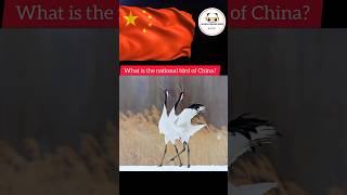 What is the national bird of China?#youtubeshorts #genralknowledge #shots