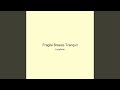 Fragile Breeze Tranquil