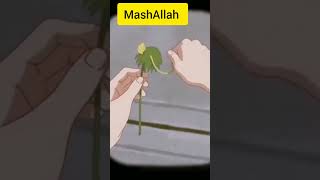 #mashaallah #subhanallah #youtubeshorts #video#viral