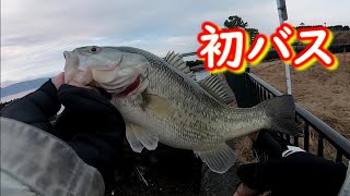 ダラけきった初バス 【琵琶湖バス釣り】