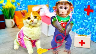 Smart Monkey Bi Bon take care of Cheese cat and puppy with duckling | Animals Home Monkey Videos