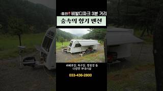 홍천 비발디파크 3분 완전 가까운 펜션 / 족구장, 캠핑장, 바베큐장 완비 / 프라이빗한 계곡까지 / 가족펜션 추천 #홍천펜션 #숲속의향기 #비발디파크펜션