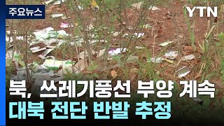 나흘 동안 쓰레기 풍선 4차례...대북 전단 반발 추정 / YTN