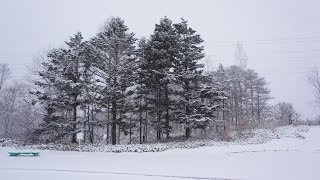 冬戀北海道-2013-12月 五天行程全紀錄