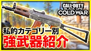 【CoD:BOCW】何が強い？現環境での私的強武器を武器種別に紹介！【CoD:BOCW:実況Vol.11】【ぐっぴー / Rush Gaming 】