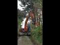 mde koala 400 tree shear in action