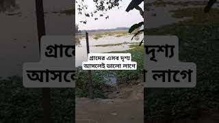 গ্রামের এসব দৃশ্য আসলেই ভালো লাগে