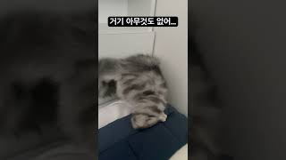 거기 아무것도 없다고요😒