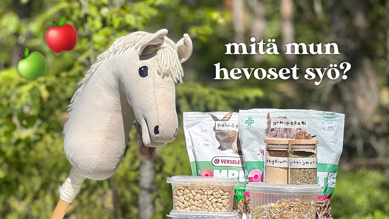 Keppihevosten Ruokinta 2023 рџњѕ Youtube