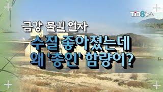 물길 열자..수질 좋아졌는데 왜 '총인' 함량이? ｜ TJB 대전·충남·세종뉴스