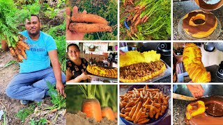 COLHEITA DE CENOURA APROVEITEI E FIZ DUAS RECEITAS DELICIOSAS.